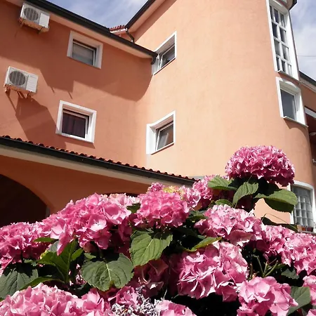Apartman Matija